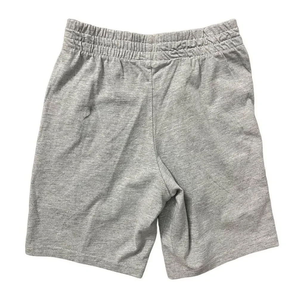 Champion boy’s gray